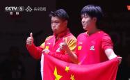 开云体育-波兰乒乓球队翻盘德国乒乓球队，王皓爆发神勇的简单介绍
