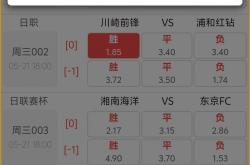 开云体育下载-足球赔率刷新纪录，竞猜热度飙升