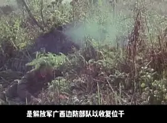 巴斯蒂亚遭遇惨败，需尽快调整的简单介绍