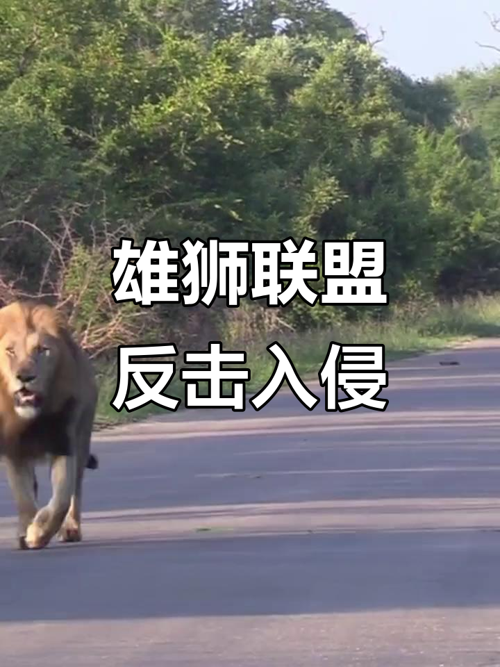 瞄准对手弱点，球队发起猛烈进攻
