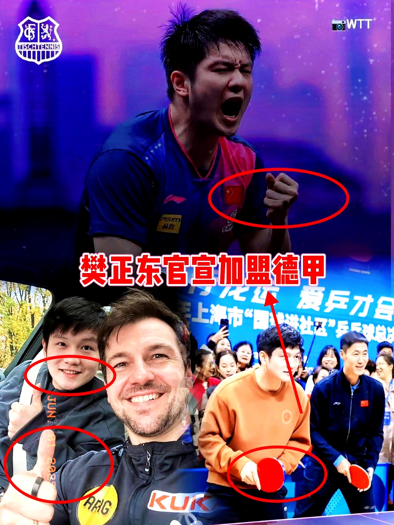 关于中国乒乓球队横扫德国乒乓球队，波尔爆发神勇的信息