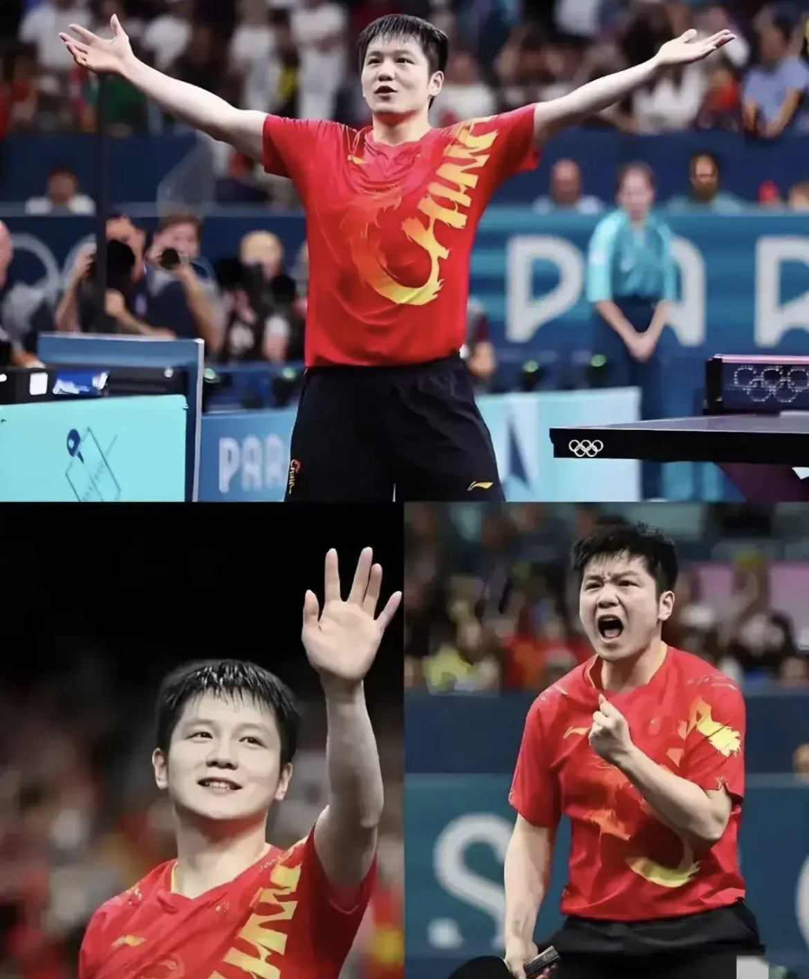 日本队轻取瑞典队,樊振东点燃赛场 日本队轻取瑞典队,樊振东点燃赛场